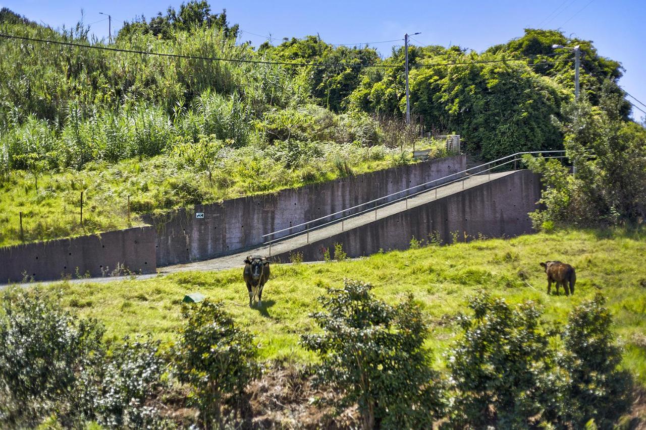 Casa Afonso Na Madeira Vila São Jorge Exterior foto